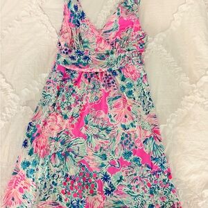 Lilly Pulitzer Pink and Blue Floral Dress